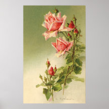 Roses roses vintages de jardin pour la Saint-Valen Posters