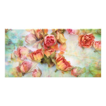 Roses secs sur le cru vert modèle pour photocarte