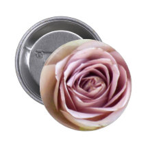 Roses succulents de lavande badges avec agrafe