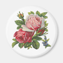ROSES VINTAGES AIMANT