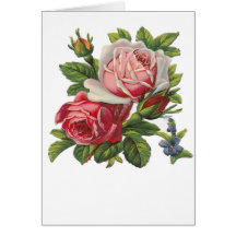 ROSES VINTAGES CARTE