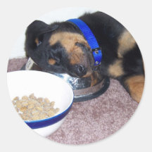rottweiler de sleepyhead autocollant rond