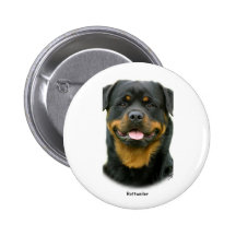 Rottweiler Pin's Avec Agrafe