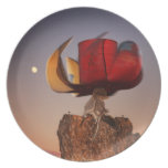 Roue de prière assiettes