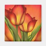 Rouge et tulipes d'or aimants