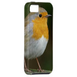 Rouge-gorge britannique coques iPhone 5 Case-Mate
