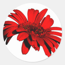 rouge ou mort autocollant