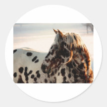 Rouillé l'Appaloosa Autocollants