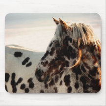 Rouillé l'Appaloosa Tapis De Souris