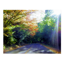 Route de Portland, Orégon à la roseraie Cartes Postales