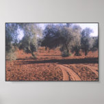 Route rouge de sable poster