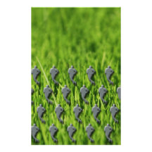 rugby on grass customized stationery