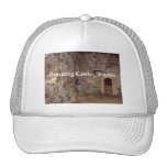 Ruines de château de Kronoberg - Suède Casquette De Camionneur