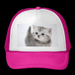 Rupture-De retour mignonne de Kitty casquettes