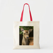 Sac de cerfs communs affrichés