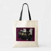 Sac de chatons de Ragdoll