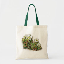 Sac de lapponica de Diapensia