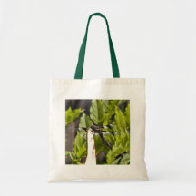 Sac de libellule, chats de Catillac