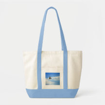 Sac de mouette de vol
