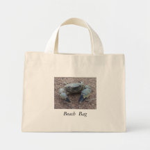 Sac de plage de crabe