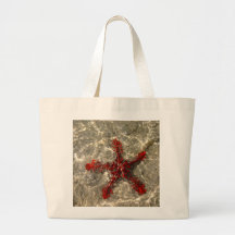 Sac de poissons d'étoile