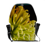 Sac floral d'explosion sacoche