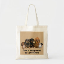 Sac fourre-tout à bande de teckel