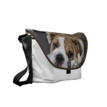 Sac messenger à bouledogue de sommeil sacoches