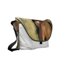 Sac messenger à cheval de Morgan Sacoche