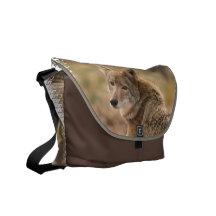 Sac messenger à coyote besace