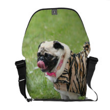Sac messenger à Rickshaw de chien de carlin Sacoches