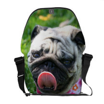 Sac messenger à Rickshaw de chien de carlin Besaces