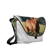 Sac messenger galopant à cheval de châtaigne besaces