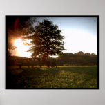 Saison d'automne posters