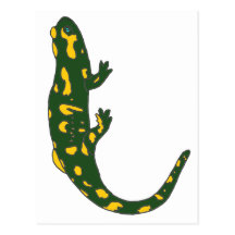 SALAMANDRE1.png Cartes Postales