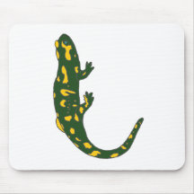SALAMANDRE1.png Tapis De Souris