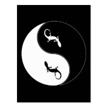Salamandre de Yin Yang Cartes Postales