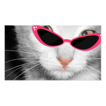 Salon de spa d'animal familier - chat avec les lun carte de visite