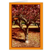 Salutations d'automne carte