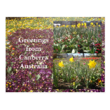 Salutations de Canberra Australie Cartes Postales
