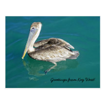 Salutations de carte postale de Key West