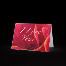 Salutations rouges d'amour de fleur de pavot cartes