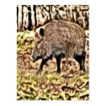 Sanglier Carte Postale