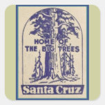 Santa Cruz la Californie - à la maison des grands  Stickers Carrés