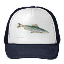 Sardine Casquettes De Camionneur
