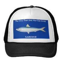Sardinelle Aurita (sardine) Casquettes