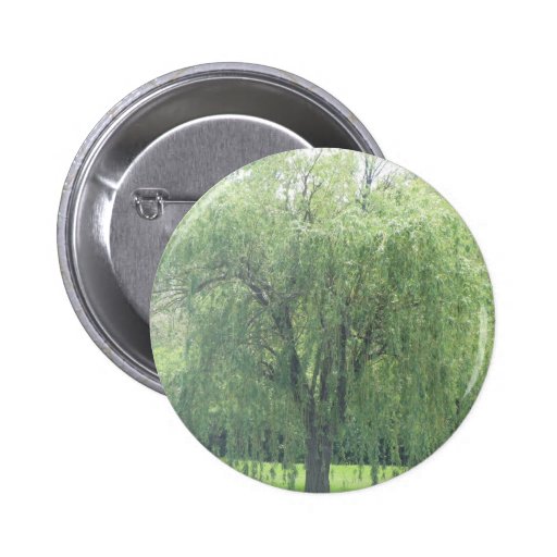 Saule pleurant badges