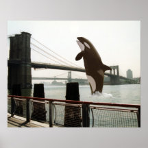 Sauter l'affiche de pont de Brooklyn