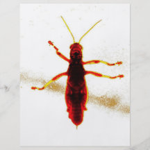 Sauterelle radioactive prospectus avec motif