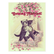 Sauvez la carte postale de chats de mariage de dat cartes postales
